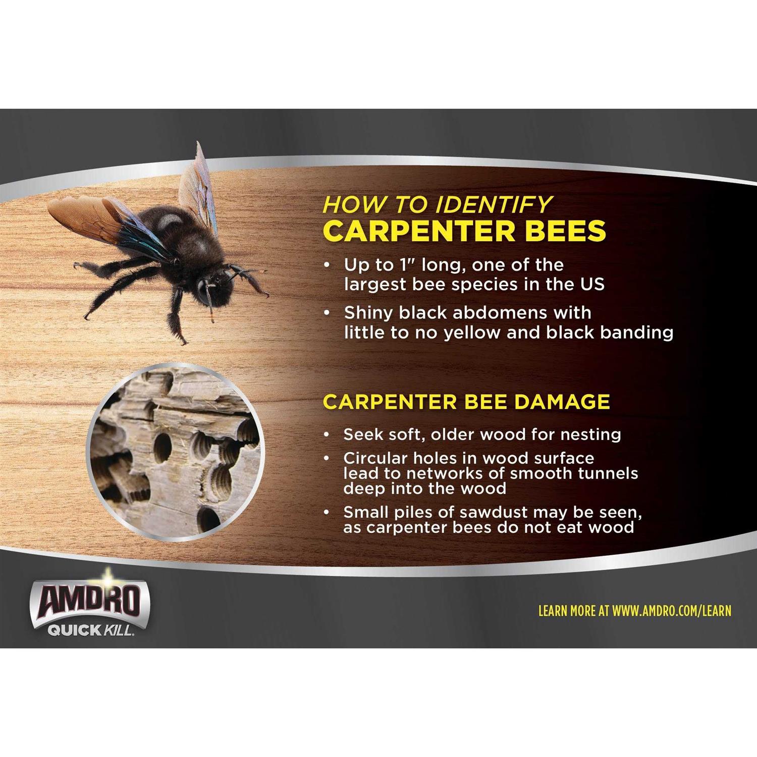 Amdro Quick Kill Carpenter Bee Killer 100526850 - Image 2